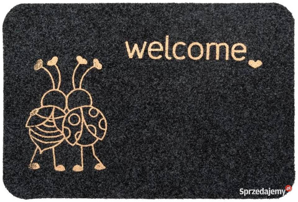 Wycieraczka wewnętrzna Biedronki 60 x 40 Legnica