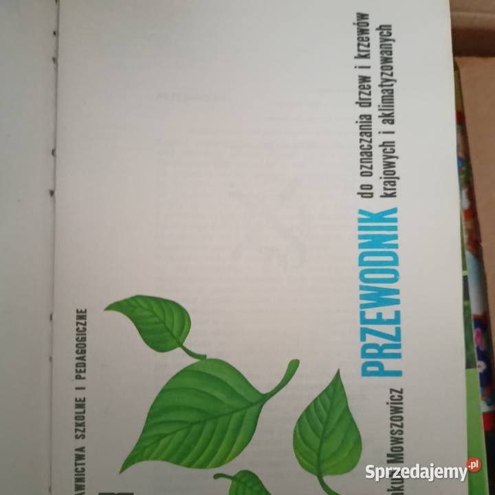 Przewodnik do oznaczania drzew i krzewów książki Gdańsk