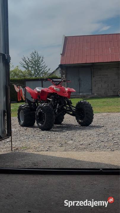 Zonsghen 250 Bashan Xtr loncin 125 200 150 Dębica