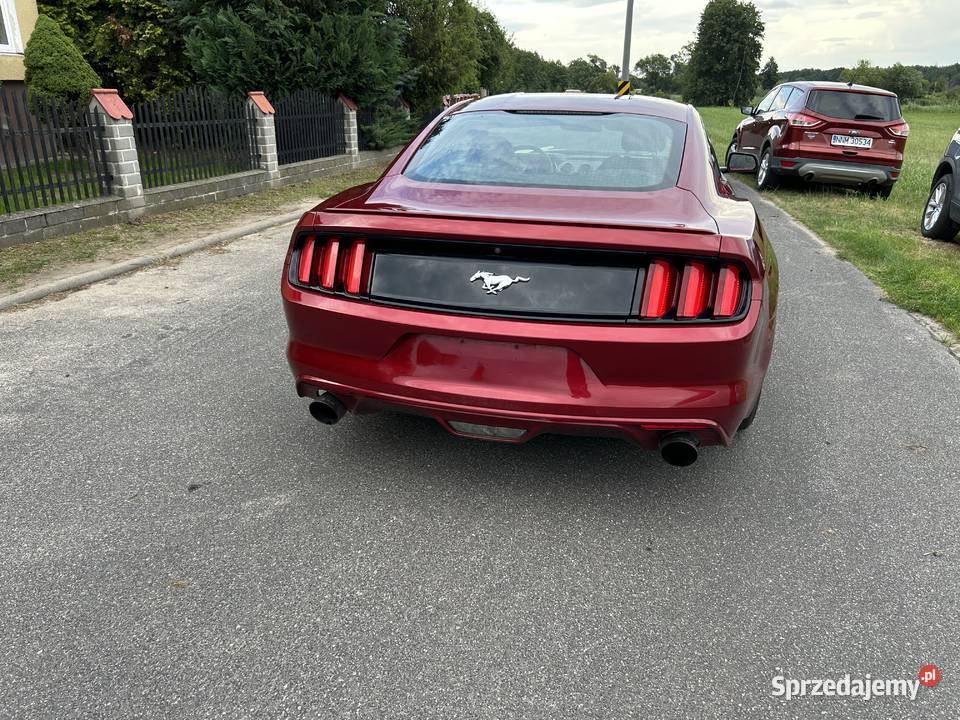Ford Mustang 2016 wydech MBRP Mustang Nowe Miasto Lubawskie