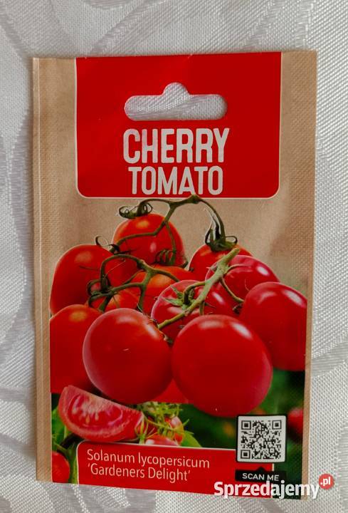 Sadzonki pomidora koktaailowego Cherry Tomato Łódź