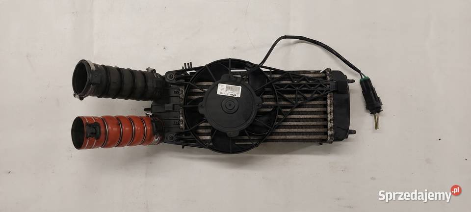INTERCOOLER WENTYLATOR PEUGEOT 207 208 CITROEN osobowe Międzychód sprzedam