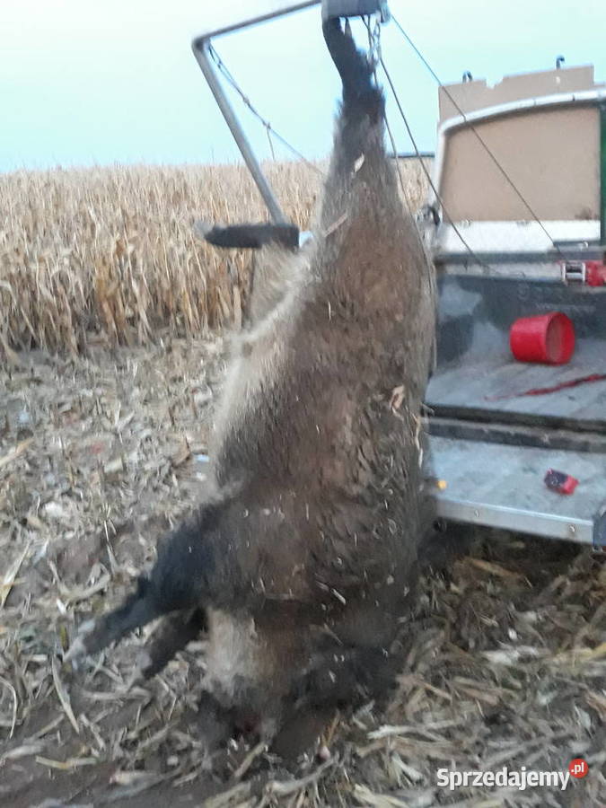 NISSAN PATROL K160 Śmigiel