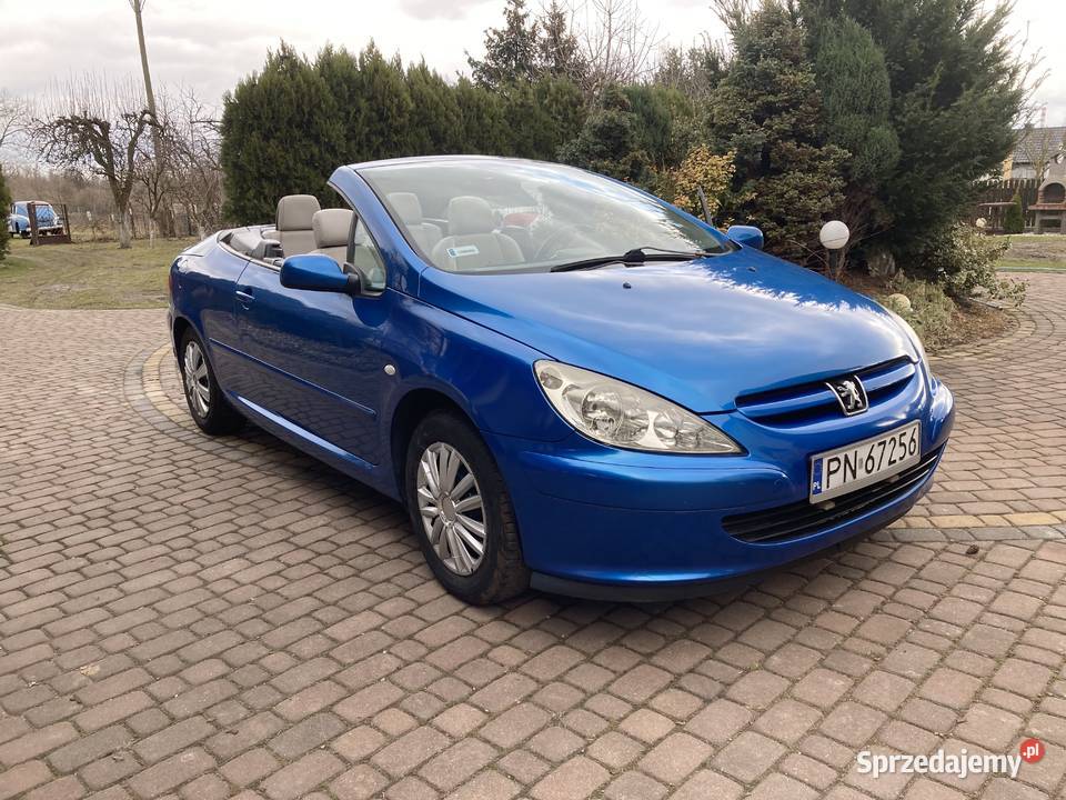 Peugeot 307 CC benzynagaz 2004 19973 136 Konin