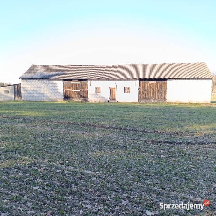 Sprzedam dom pole chętnie razem Wólka Wólka Pukarzowska