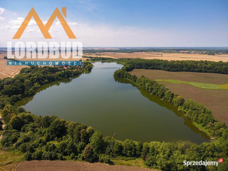 Kolonia Pustelnia Linia brzegowa Jezioro 1 Wopity
