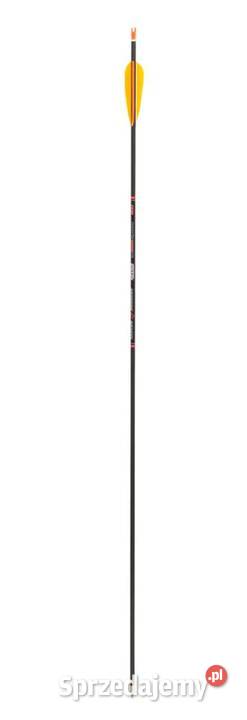 Zestaw 6 strzał do łuku spin 900 pióra naturalne małopolskie Nowy Sącz