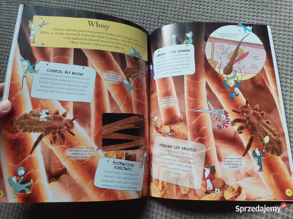 National Geographic Małe Mózgofalki poznają miękka Kraków