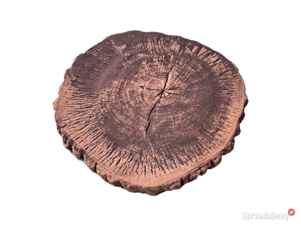 Płyta ogrodowa Pniaczek efekt drewna trwałość Żelichów