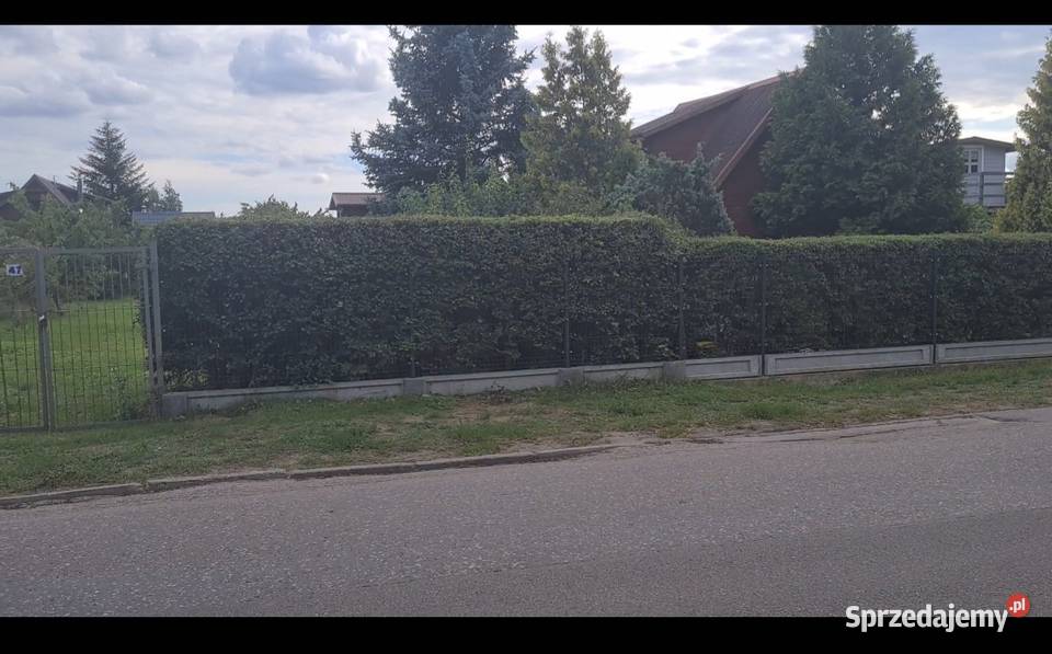 Sprzedam działke ROD Gdańsk