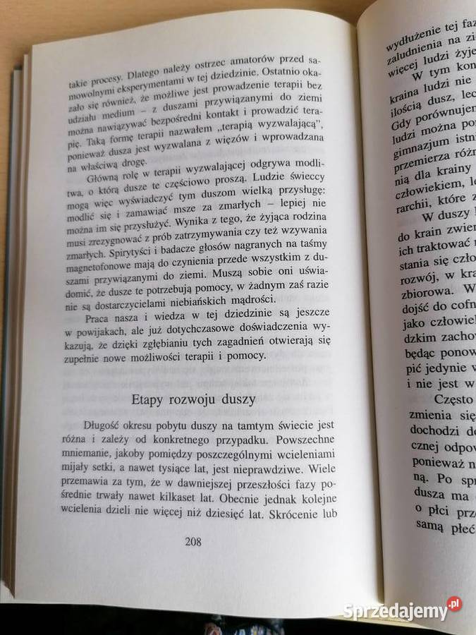 Przeznaczenie twoją szansą sprzedam