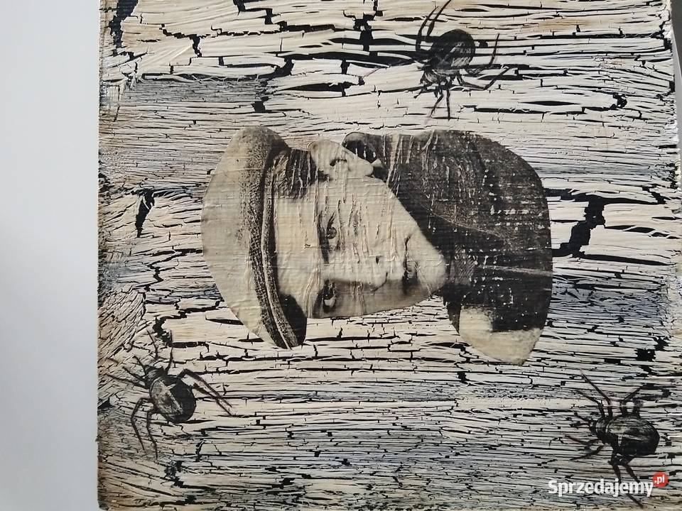 Obraz portret 24526 Rękodzieło zachodniopomorskie Szczecin sprzedam