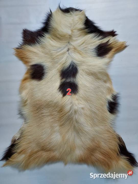 Skóra z Kozy XXL Dekoracyjna Naturalna Skóry małopolskie sprzedam