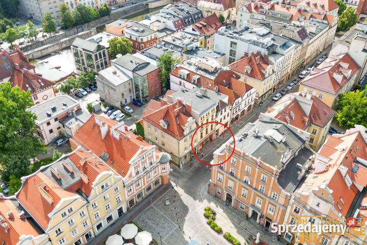 Lokal 329m Opole