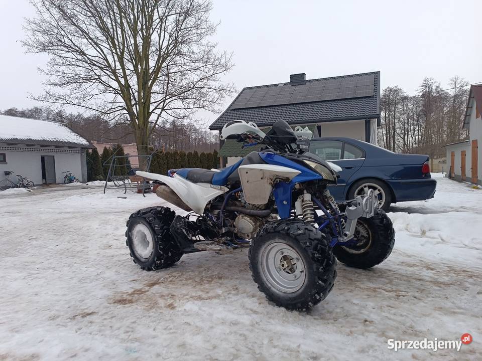 Quad Bashan 250