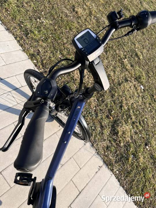 Pegasus Siena łódzkie Błota