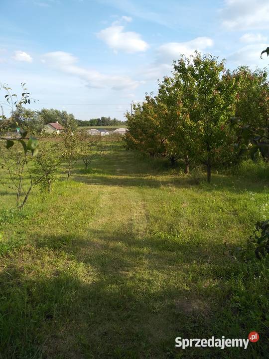 Działka budowlanorolna Zawichost