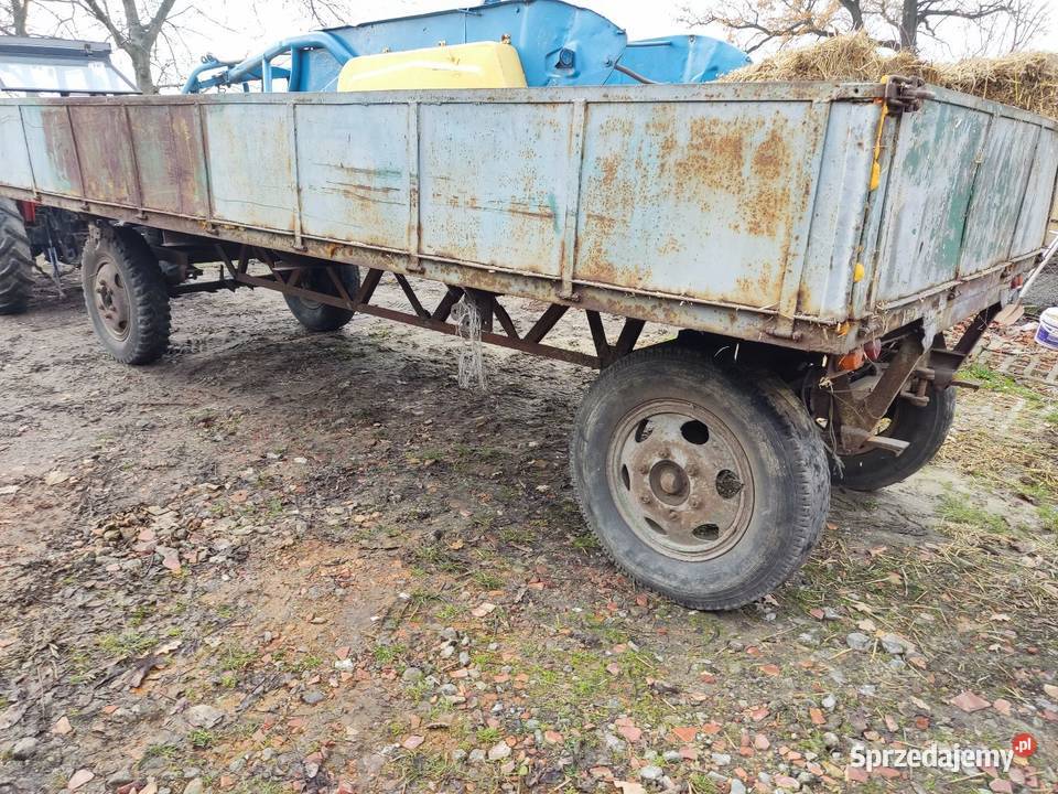 Przyczepa sztywna platforma Gliwice