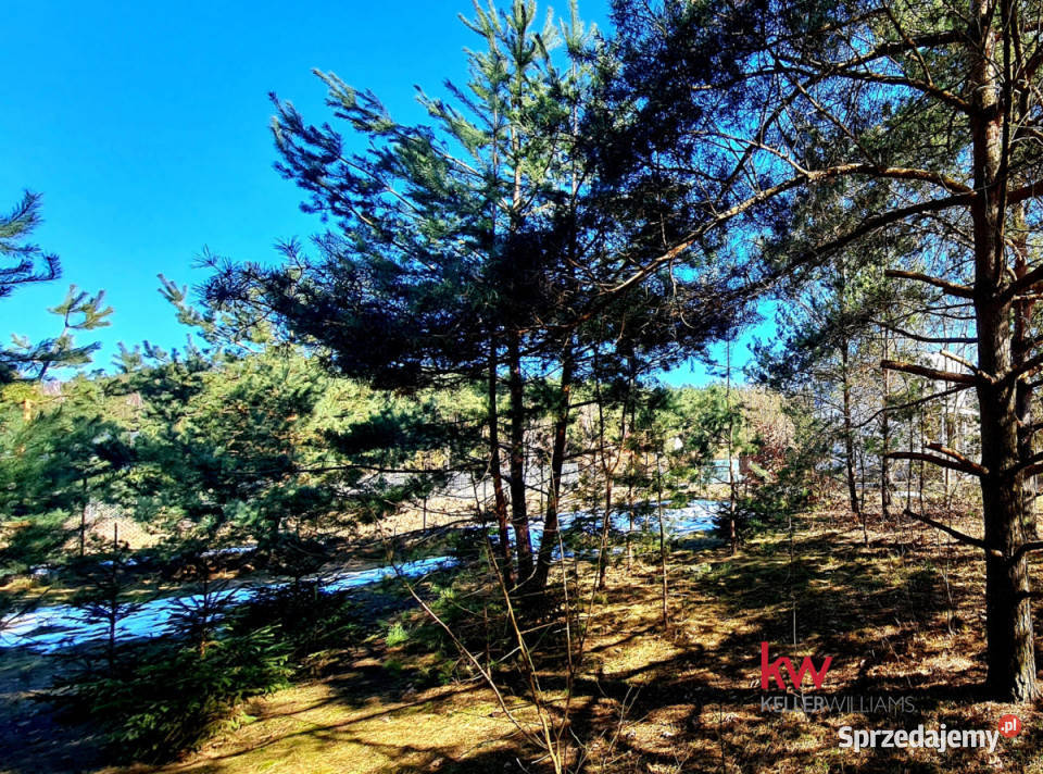 sprzedaży działki Ryjewo 2000m2