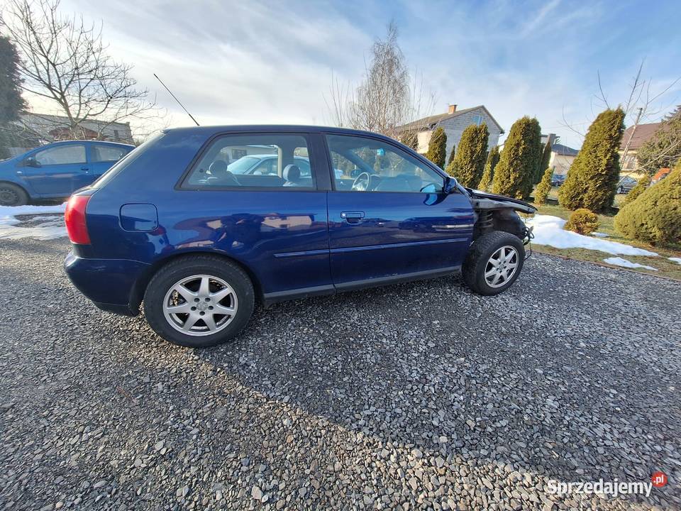 Audi a3 8l Szczucin