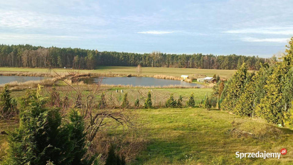 Dom z widokiem na stawy i las Zielątkowo sprzedam