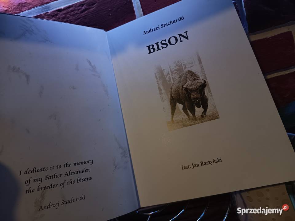 Luksusowy Album FOTO BISON ŻUBR 2003 EN Bydgoszcz