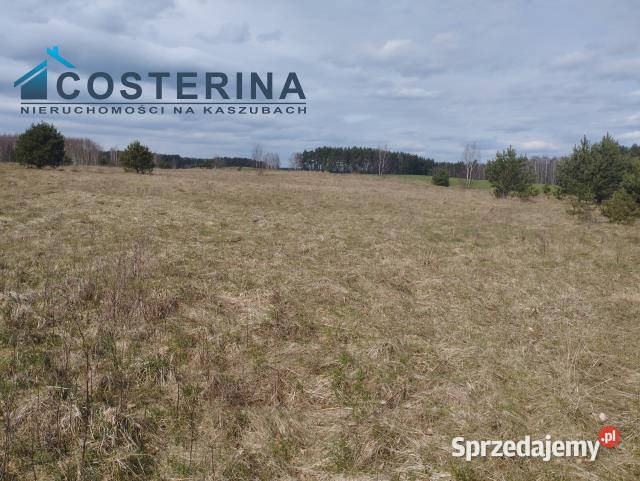 Działka Karsin 1222m2