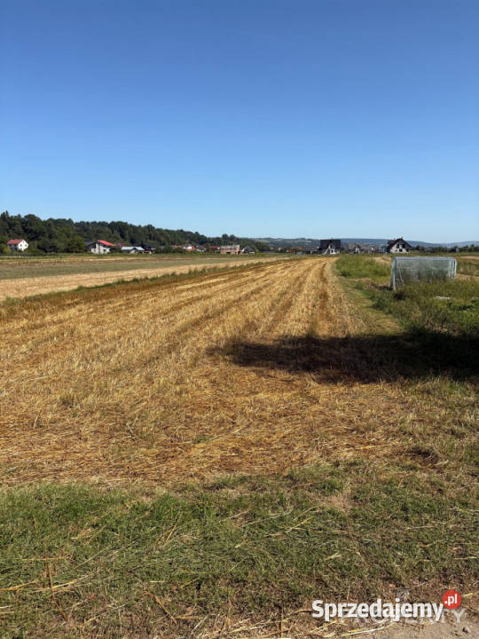 Sprzedam działka Podegrodzie 2700 metrów inwestycyjna