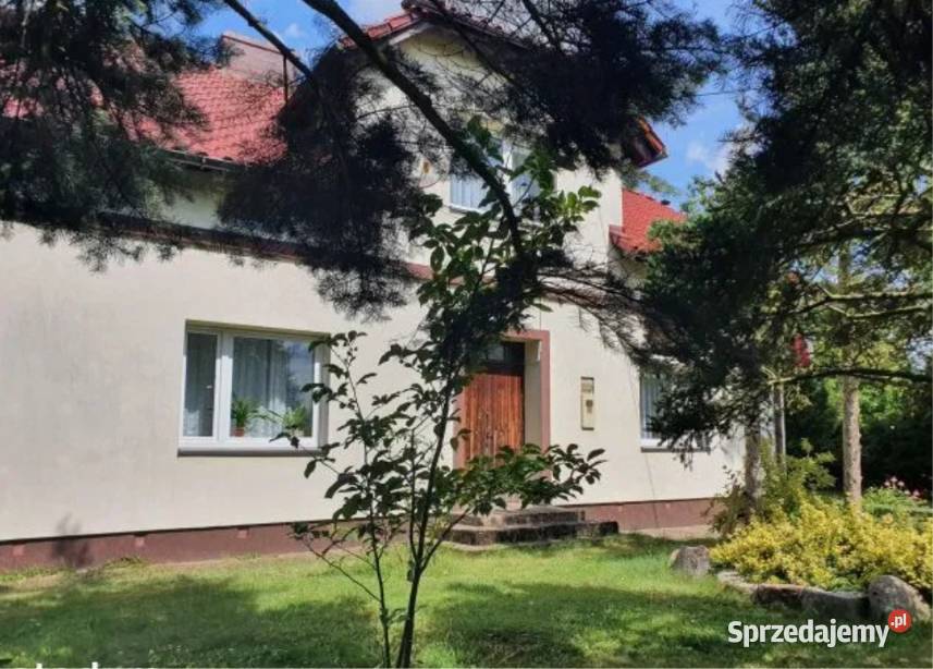 Duży dom rodzinny 200m na duzej dzialce 3700m z Żelkowo