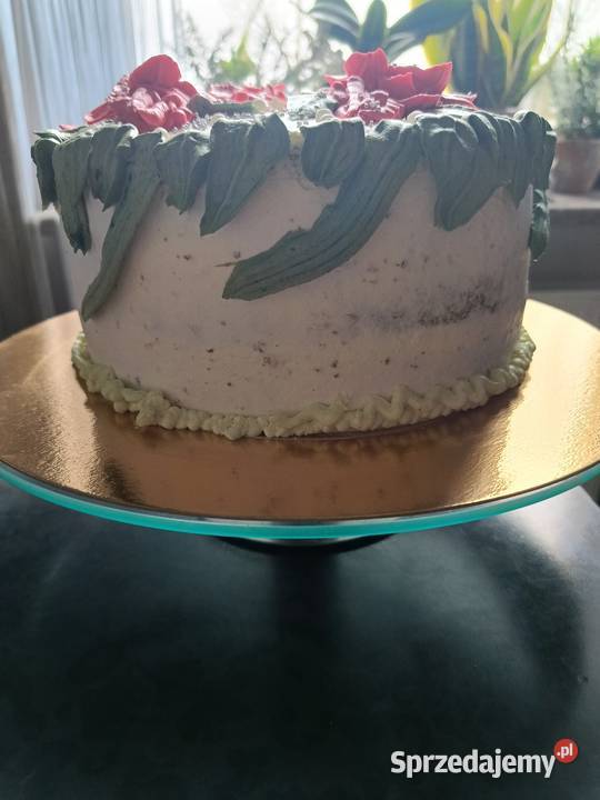 Torty Domowe Catering i gastronomia Wrocław