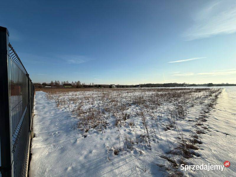 działki rekreacyjne jeziora Przytomne Zuzinów