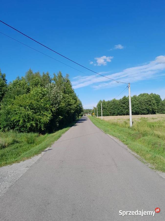Bieganów Poziomkowa Sprzedaż mazowieckie
