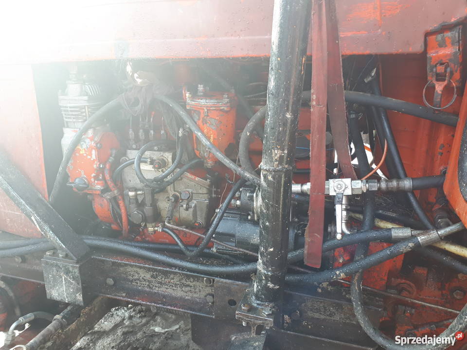 Mtz 82 Belarus sprzedam