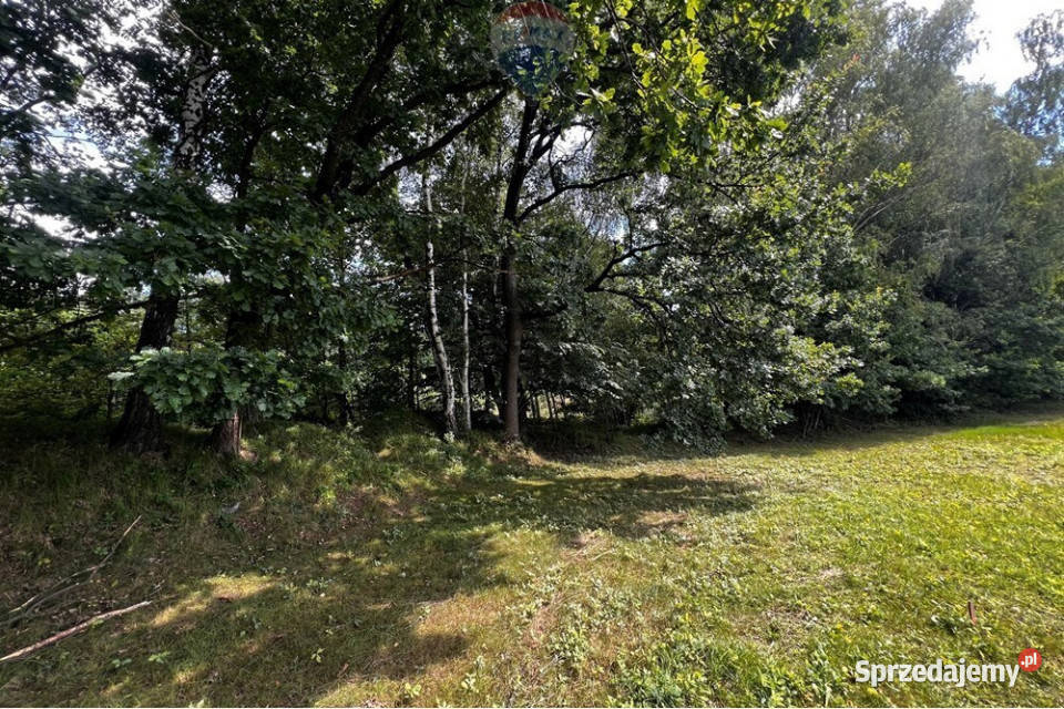 Działka budowlana w Jasienicy świetna Jasienica