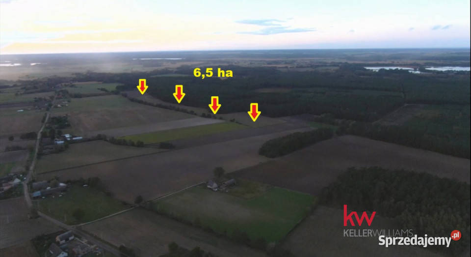 sprzedaży gruntu 65000m2 Borzynowo 540m sprzedam