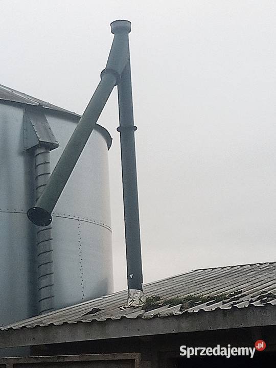 Żmijka przenośnik adraft