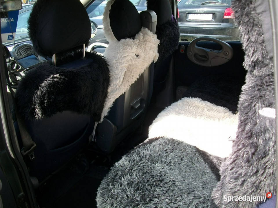 Fiat Multipla śląskie Katowice