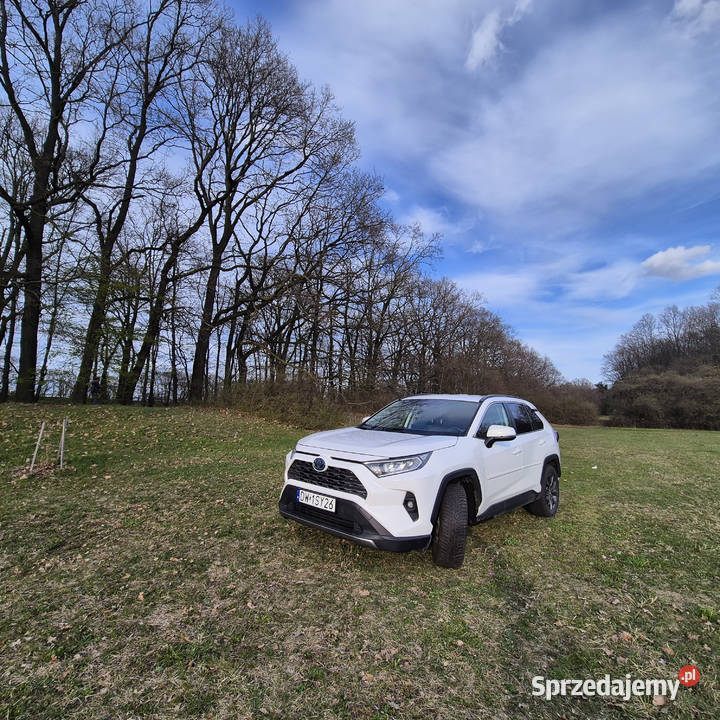 Toyota RAV4 25 Hybrid Comfort 218 2022 83 000 Motoryzacja Wrocław