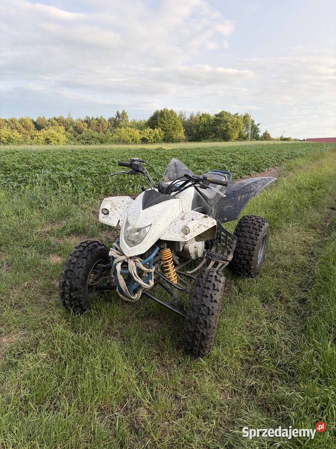 SMC Barossa 250cc wsteczny hak