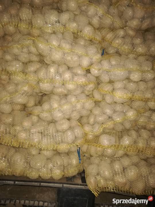 ziemniaki jadalne Sochaczew sprzedam