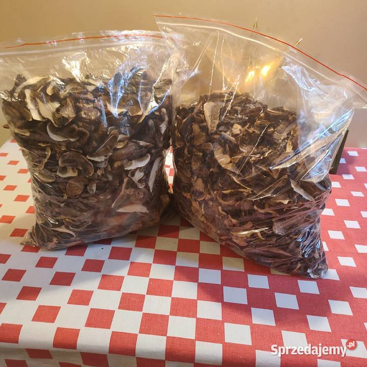 podgrzybki suszone Sopot