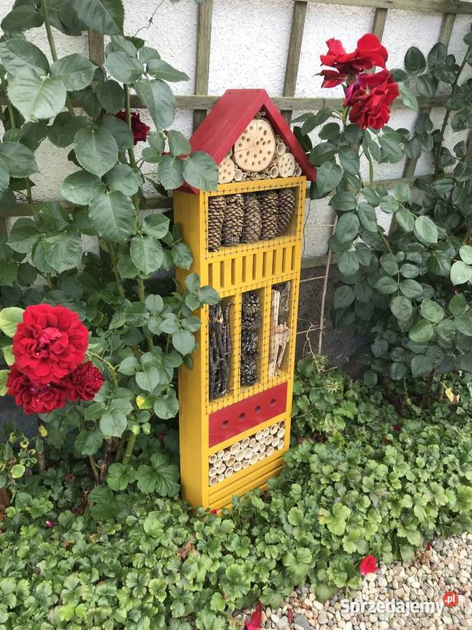 Domek owadów 100 zachodniopomorskie Sławno