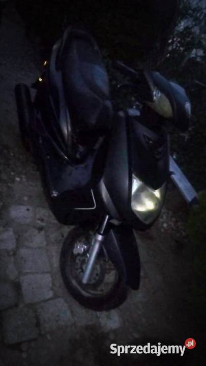 Skuter Zipp Vega 803 Ciechanów
