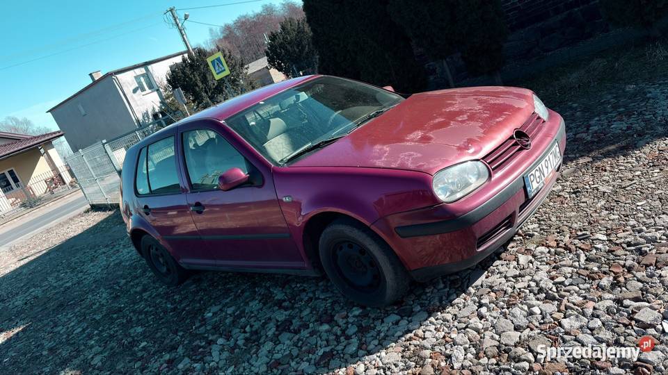 VW Golf IV 14 LPG 75 1999r klima hak wielkopolskie Szamotuły