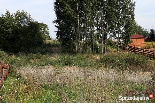 Działka bud 3417 m2 Leśniewo jez Rydzówka wz kanalizacja