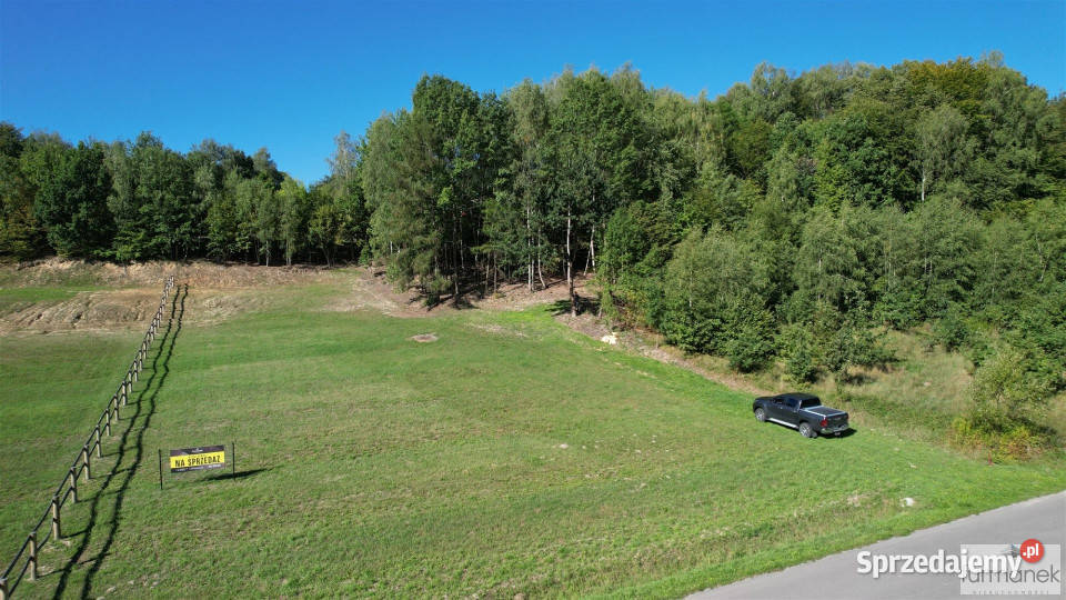 sprzedaży działki TeodorówkaKolonia 4182m2 woda Teodorówka-Kolonia