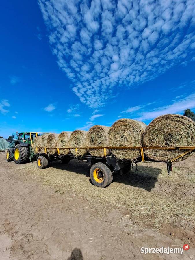 Siano koni z dowozem baloty siana koni z Trawy, słoma Koziegłowy