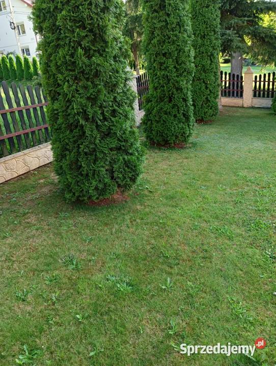 Dom w centrum Straszydla strych Sprzedaż Straszydle sprzedam