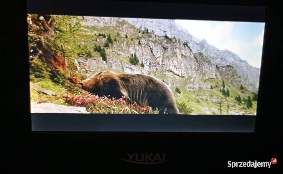DVD przenośne z wyświetlaczem komplet Tyczyn