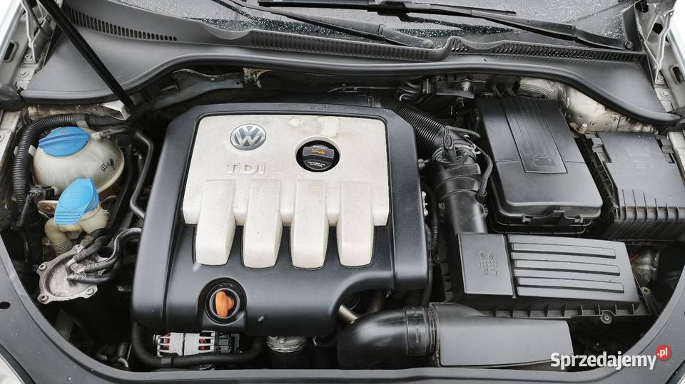 Volkswagen Golf V 20 TDI 2006r Zadbany Hańsk Pierwszy
